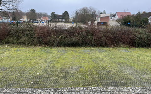 Henneberg: Plante, Ciel, Communauté Des Plantes, Paysage Naturel, Lot Terre, Arbre, Herbe, Arbuste, Prairie, Nuage
