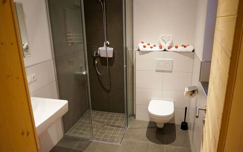 Hocheben: Propriété, Luminaire Plomberie, Siège De Toilette, Toilette, Salle De Bains, Design Intérieur, Porte