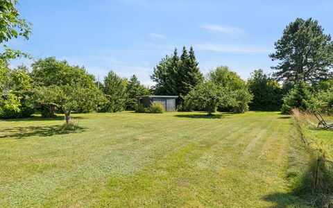 Arlina - 750M from the Sea: Arbre, Herbe, Environnement Naturel, Prairie, Arbuste, Plaine, Lot Terre, Jardin, Zone Rurale