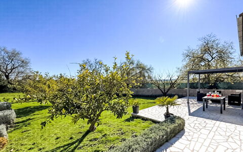 Ivan: Arbuste, Jardin, Couverture De Sol, Aménagement Paysager, Ombre, Pelouse, Cour, Arrière-Cour, Passerelle, Parc