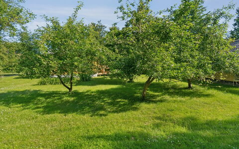 Lennart - 4Km from the Sea: Bleu, Arbuste, Chalet, Couverture De Sol, Jardin, Biens, Ombre, Aménagement Paysager, Ferme, Eco Hôtel