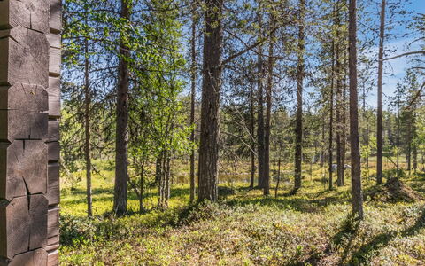 Metsäntupa: Bois, Maison, Neige, Chalet, Domicile, L'Hiver, Toit, Gelé, Siding, Pente