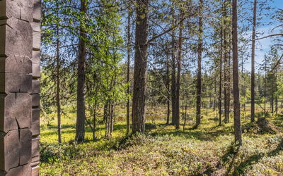 Metsäntupa