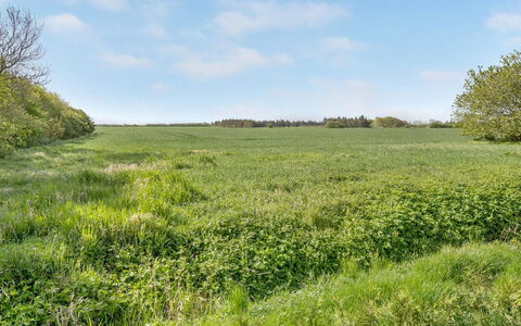 Aliza - 14Km from the Sea: Zone Résidentielle, Toit, Banlieue, Allée, Biens, Cheminée
