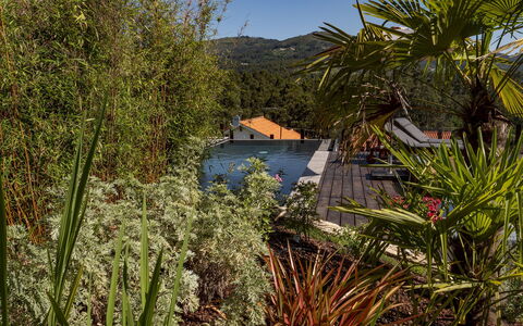 Rio Lima Retreat: Plante, Communauté Des Plantes, Ciel, Feuille, Paysage Naturel, Arbre, Végétation, L'Eau, Maison, Terrestre Des Plantes