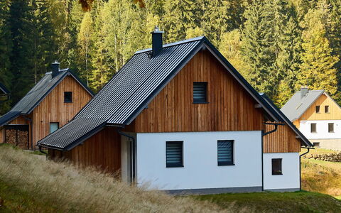 Pod Lesem: Bâtiment, Fenêtre, Plante, Maison, Bois, Arbre, Architecture, Paysage Naturel, Lot Terre, Herbe