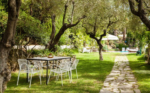 Villa Il Sole Di Sorrento: Plante, Meubles, Table, Arbre, Branche, Paysage Naturel, Ombre, Chaise, Herbe, Mobilier De Jardin