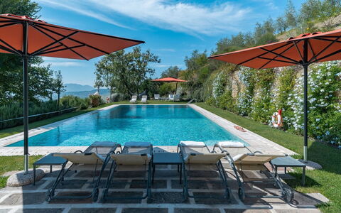 Villa Marlia: L'Eau, Plante, Nuage, Ciel, Bâtiment, Propriété, Piscine, Bleu Azur, Mobilier De Jardin, Parapluie
