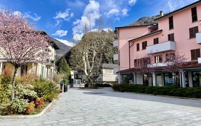 Platani