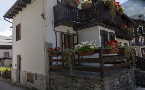 Appartamento Piazza Centrale: Plante, Bâtiment, Propriété, Fenêtre, Pot De Fleur, Porte, Maison, Plante D'Appartement, Bois, Surface De La Route