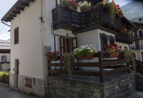 Appartamento Piazza Centrale: Plante, Bâtiment, Propriété, Fenêtre, Pot De Fleur, Porte, Maison, Plante D'Appartement, Bois, Surface De La Route