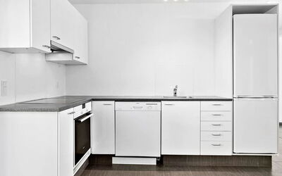 Viljo - 100M from the Sea
