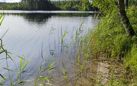 Käränkkä: Lit, Meubles, Chambre, Design Intérieur, Literie, Drap De Lit, Sol, Bois, Sol, Pièce