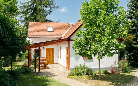 Magnolia: Plante, Bâtiment, Propriété, Fenêtre, Ciel, La Nature, Nuage, Arbre, Maison, Lot Terre