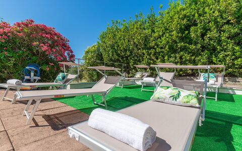 Villa La Pagliarina: Propriété, Plante, Ciel, Vert, La Nature, Mobilier De Jardin, Ombre, Design Urbain, Biome, Herbe