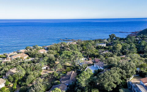 Samba: L'Eau, Ciel, Propriété, Plante, Arbre, Piscine, Bleu Azur, Ombre, Arecales, Loisir