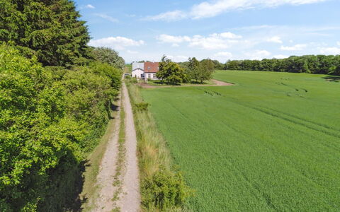 Antonina - 1.5Km from the Sea: Vert, Herbe, Arbre, Prairie, Paysage Naturel, Champ, Été, Plaine, Paysage