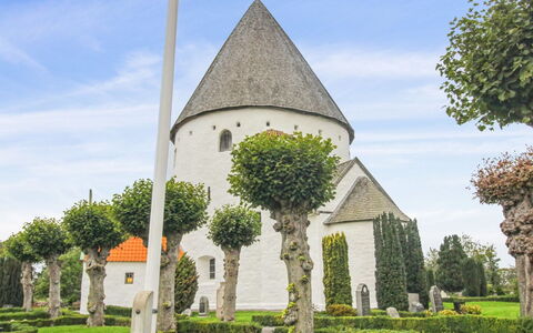 Antonina - 1.5Km from the Sea: Herbe, Arbuste, Printemps, Haie, Jardin, Flèche, Aménagement Paysager
