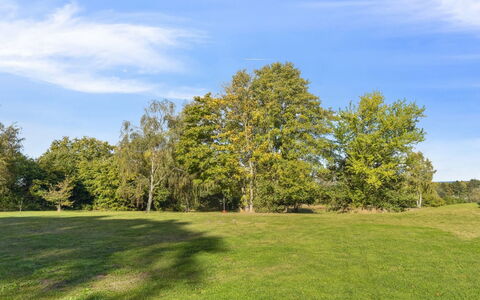 Marrit - 500M from the Sea: Ciel, Bleu, Jour, Feuille, Vert, Herbe, Arbre, Branche, Environnement Naturel, La Nature