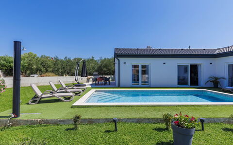 Corona Cordis: Plante, Ciel, Fenêtre, Bâtiment, Piscine, Ombre, Arbre, Herbe, Loisir, Rectangle