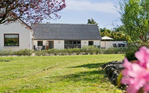 Teodora - 3Km from the Sea: Herbe, Prairie, Paysage, Écorégion, Plaine, Communauté Des Plantes, Lot Terre, Mobilier De Jardin, Prairie, Formations Arbustives