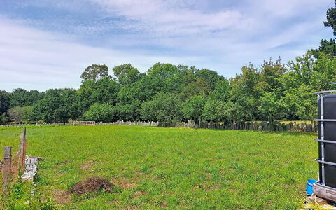 Ty Pjp: Arbre, Herbe, Vert, Prairie, Pâturage, Plaine, Lot Terre, Champ, Nuage, Zone Rurale