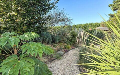 La Villa Agapanthes: Plante, Ciel, Communauté Des Plantes, Botanique, Fleur, Feuille, Arbre, Terrestre Des Plantes, Végétation, Biome