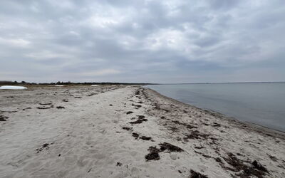 Antonina - 225M from the Sea