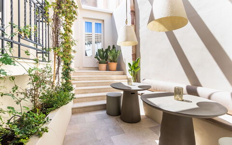 Alma Suite: Plante, Propriété, Table, Bois, Fenêtre, Sol, Sol, Bâtiment, Mur, Immobilier