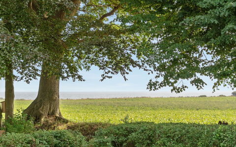 Francis - 300M from the Sea: Bois, Toit, Architecture, Domicile, Maison, Chalet, Siding, Dur, Pente, Biens