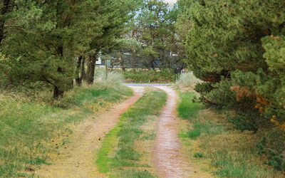 Ginna - 1.3Km from the Sea