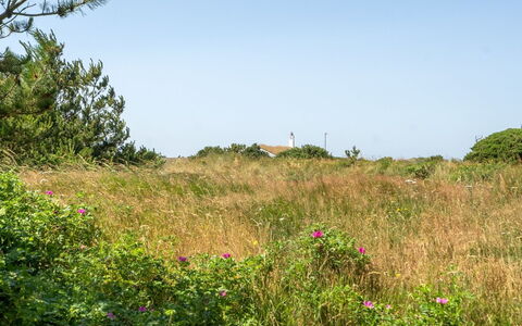 Sine - 500M from the Sea: Maison, Domicile, Toit, Chalet, Biens, Aménagement Paysager, Batiments Jardin, Siding, Ferme
