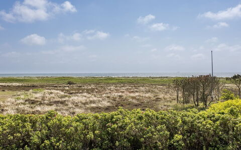 Stillan - 150M from the Sea: Maison, Domicile, Toit, Zone Résidentielle, Chalet, Biens, Ferme, Pelouse, Aménagement Paysager, Siding