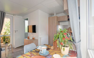 Logement:&nbsp;Tiny Haus Hirschberg 200.17