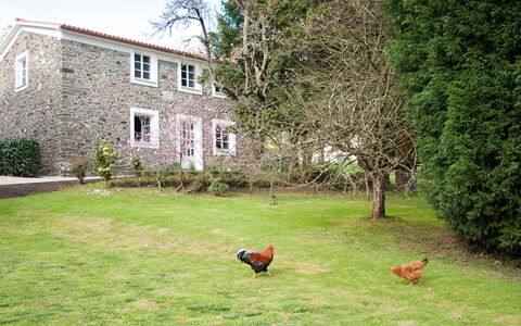 El Olivo: Plante, Propriété, Fenêtre, Feuille, Ciel, Arbre, Paysage Naturel, Lot Terre