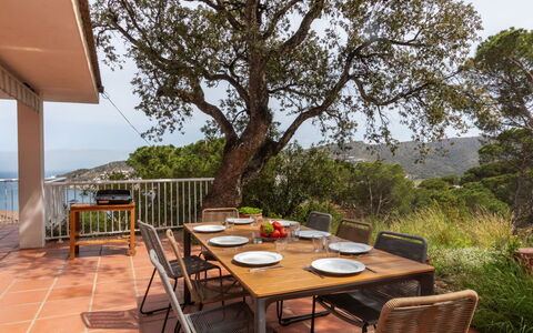 Rec de Canet: Table, Plante, Ciel, Meubles, Propriété, Chaise, Pot De Fleur, Mobilier De Jardin, Bois, Bâtiment