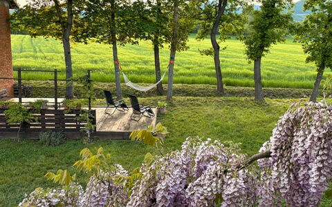 Rustico Pio Filippo: Jardin, Printemps, Ombre, Cour, Plantation, Parc, Arrière-Cour, Jardin Botanique