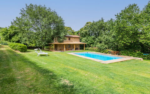 La Cupola: Girasole: Plante, Ciel, Paysage Naturel, Arbre, Ombre, Herbe, Des Loisirs, Couverture De Sol, Arbuste, Prairie