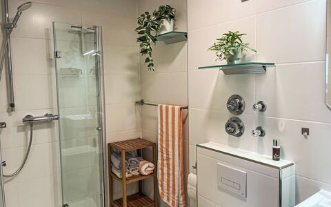 Auszeit: Propriété, Plante, Tete De Douche, Pot De Fleur, Design Intérieur, Plante D'Appartement, Bar De Douche, Bâtiment, Sol, Cabinetry