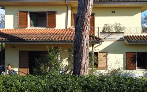 Sara: Plante, Bâtiment, Propriété, Fenêtre, Ciel, Bois, Maison, Lot Terre, Chalet