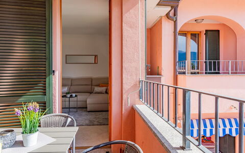 Andy: Propriété, Plante, Orange, Bois, Pot De Fleur, Design Intérieur, Plante D'Appartement, Architecture, Bâtiment, Porte