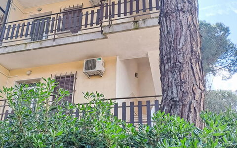 Rosolina Mare 629: Suppression Des Plantes Ligneuses, Balcon, Ombre