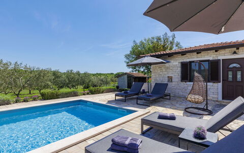 Claudia: L'Eau, Propriété, Ciel, Bleu Azur, Ombre, Piscine, Plante, Mobilier De Jardin, Arbre, Zone Résidentielle