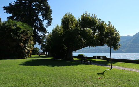 Regina 29: Herbe, Paysage Naturel, Paysage, Pelouse, Extérieur Banc, Tronc, Jardin, Lac, Parc