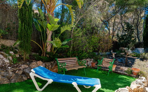 Casa Barbara: Plante, Communauté Des Plantes, Botanique, La Nature, Feuille, Mobilier De Jardin, Végétation, Arbre, Herbe, Balancelle