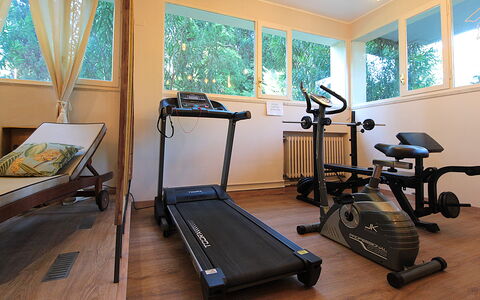 Catullo 18 Apartment, Garda Lake, Jacuzzi, Fitness: Propriété, Machine D'Exercice Physique, Fenêtre, Bois, Design Intérieur, Sol, Sol, Dur, Equipement D'Exercice