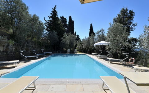 Villa Sette Ponti Levante: L'Eau, Ciel, Piscine, Bleu Azur, Arbre, Ombre, Loisir, Composite, Immobilier, Rectangle
