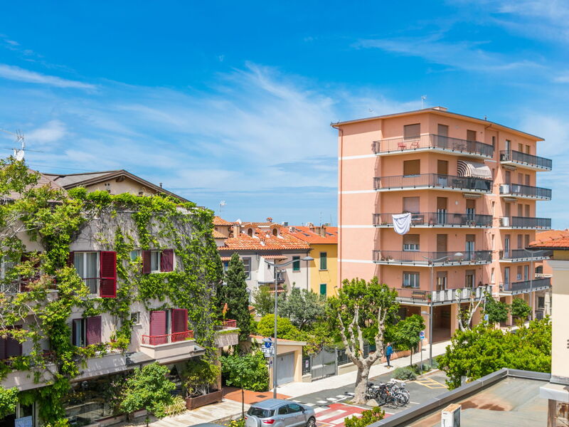 San Vincenzo 240