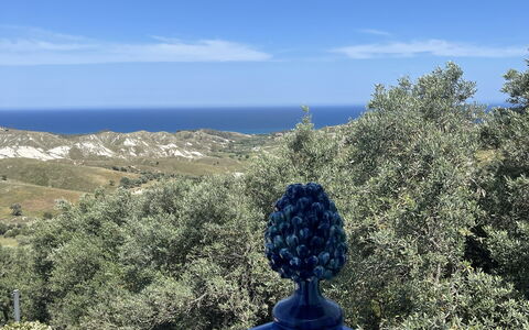 Villa Acquaro, Santa Caterina Dello Ionio, Pool, A: Bleu, Paysage, Arbuste, Suppression Des Plantes Ligneuses, Formations Arbustives, Chaparral
