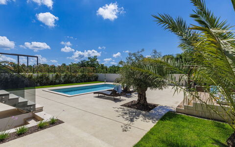 Villa Sandro: Plante, Nuage, Ciel, L'Eau, Piscine, Bleu Azur, Ombre, Lot Terre, Arbre, Plan D'Eau